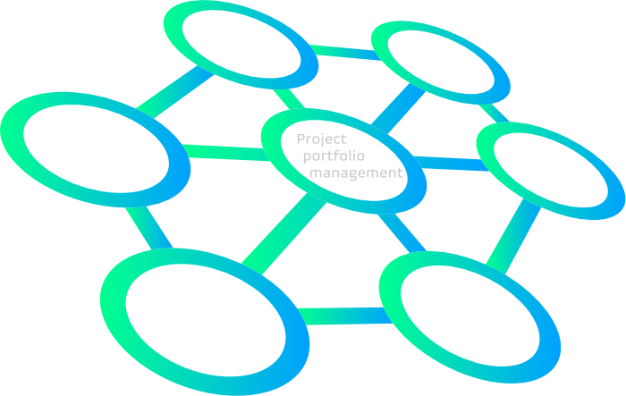 Project portfolio management